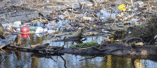 Environnement : appel dans le cadre d’un référé pénal