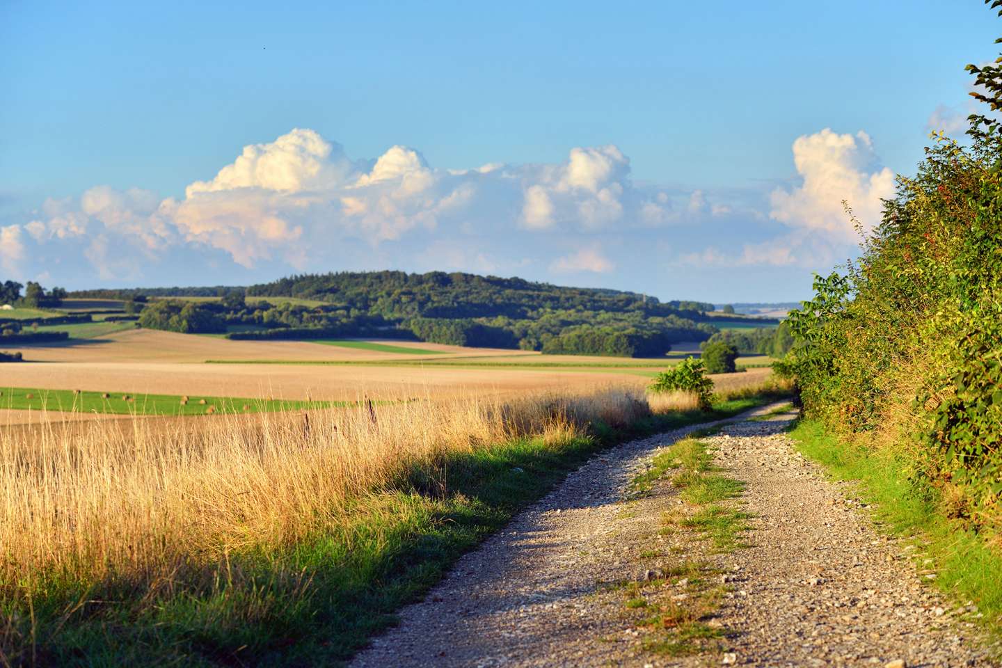 Les prix des terres agricoles ont encore augmenté en 2024 !