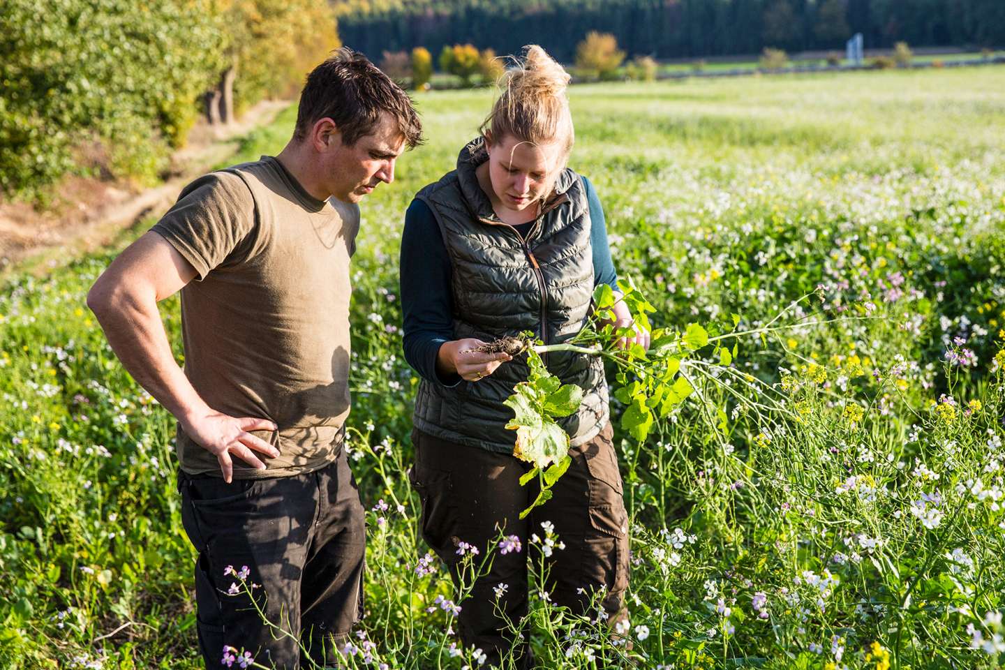 Décès d’un exploitant agricole : à qui est attribué le bail rural ?