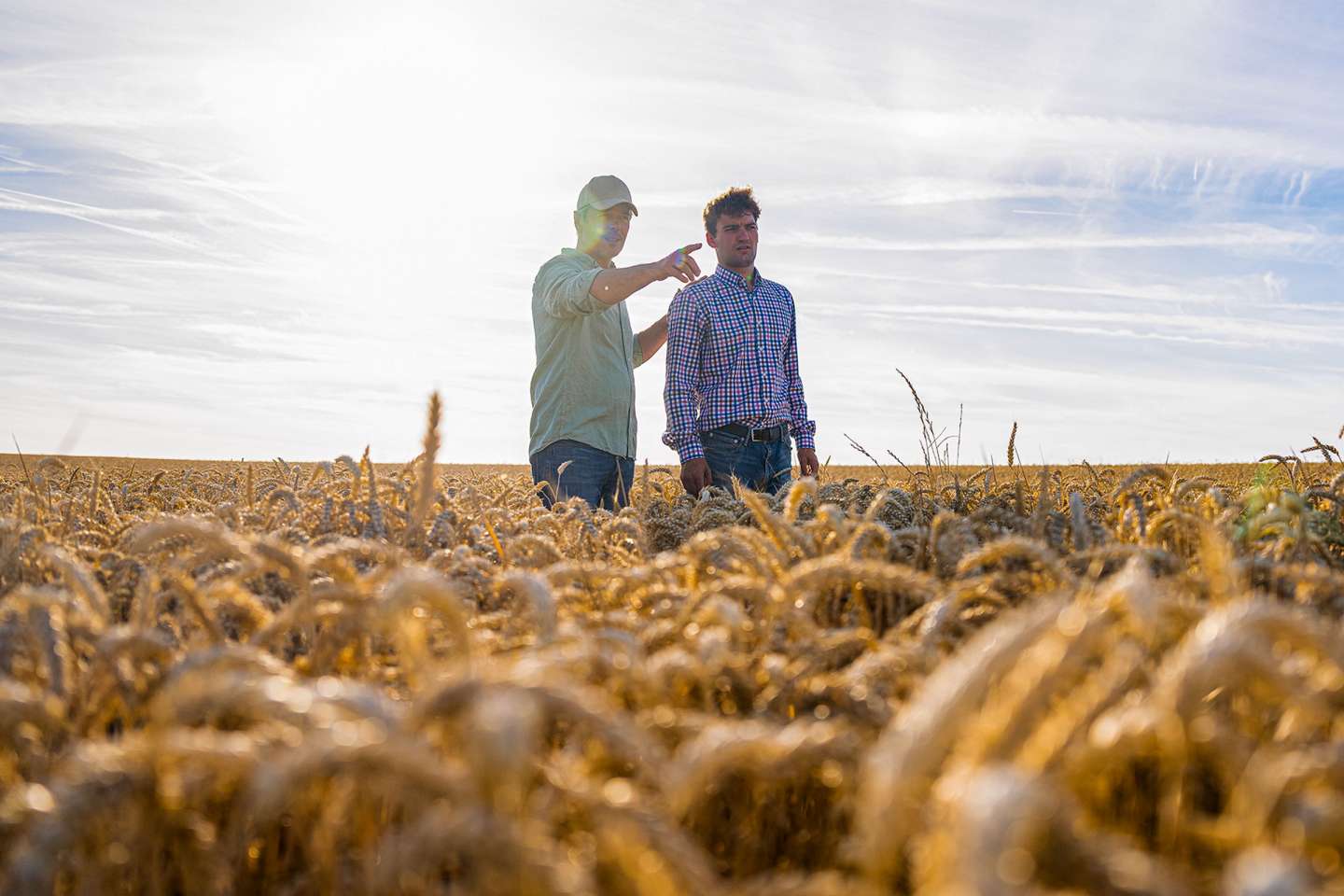 À quel moment peut-on insérer une clause de reprise sexennale dans un bail rural ?