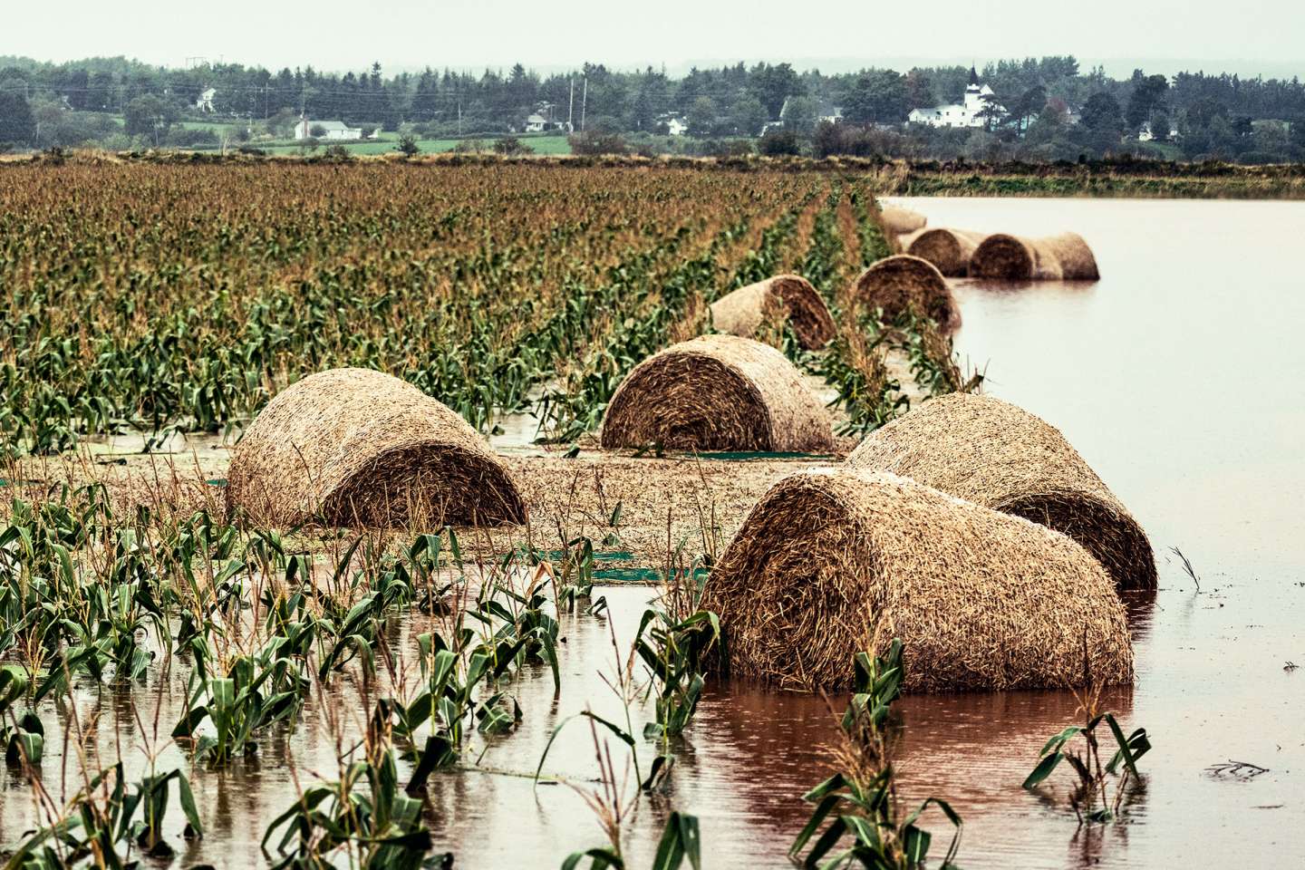 Déduction pour épargne de précaution : quelles conditions pour l’exonération fiscale ?
