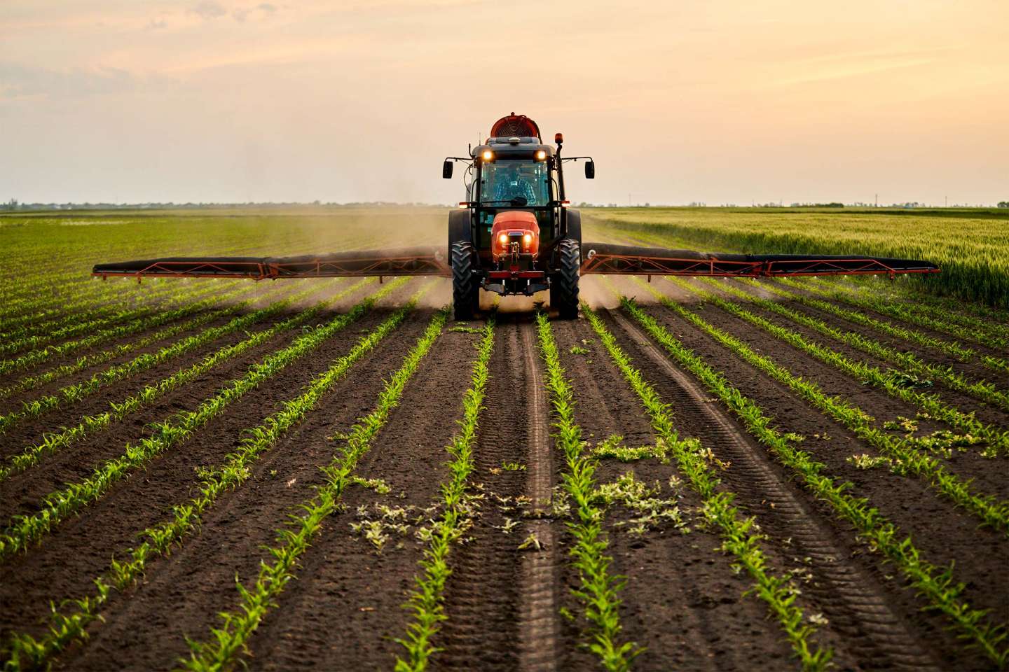 Environnement : responsabilité de l’État pour préjudice écologique