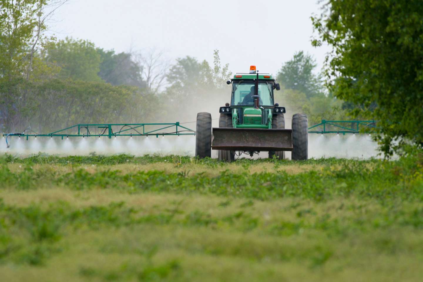 Environnement : délai de prescription de l’action pour préjudice écologique