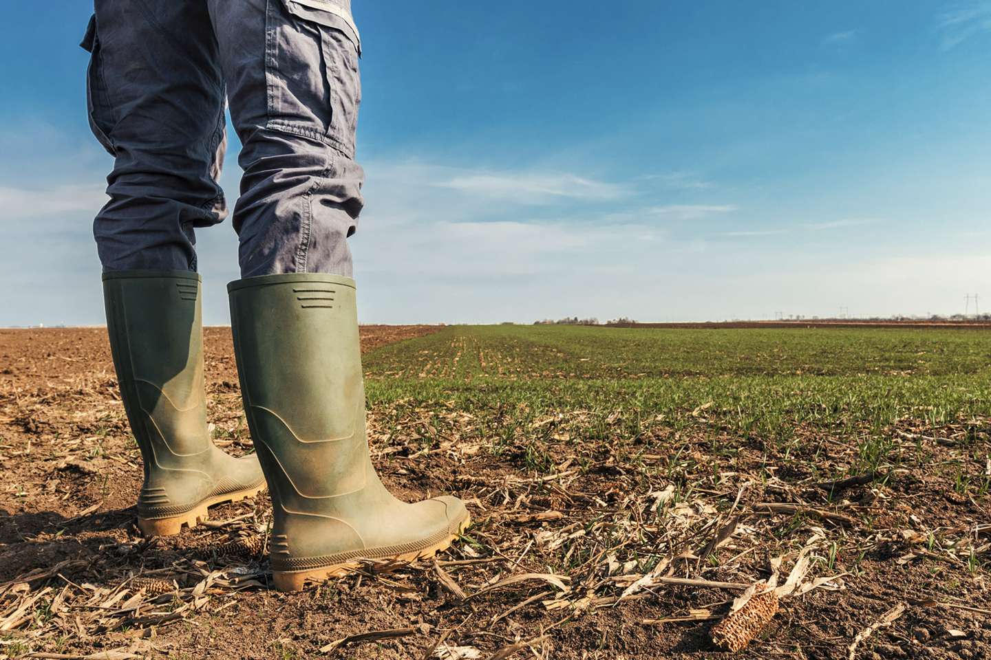 Un train de mesures fiscales pour le secteur agricole