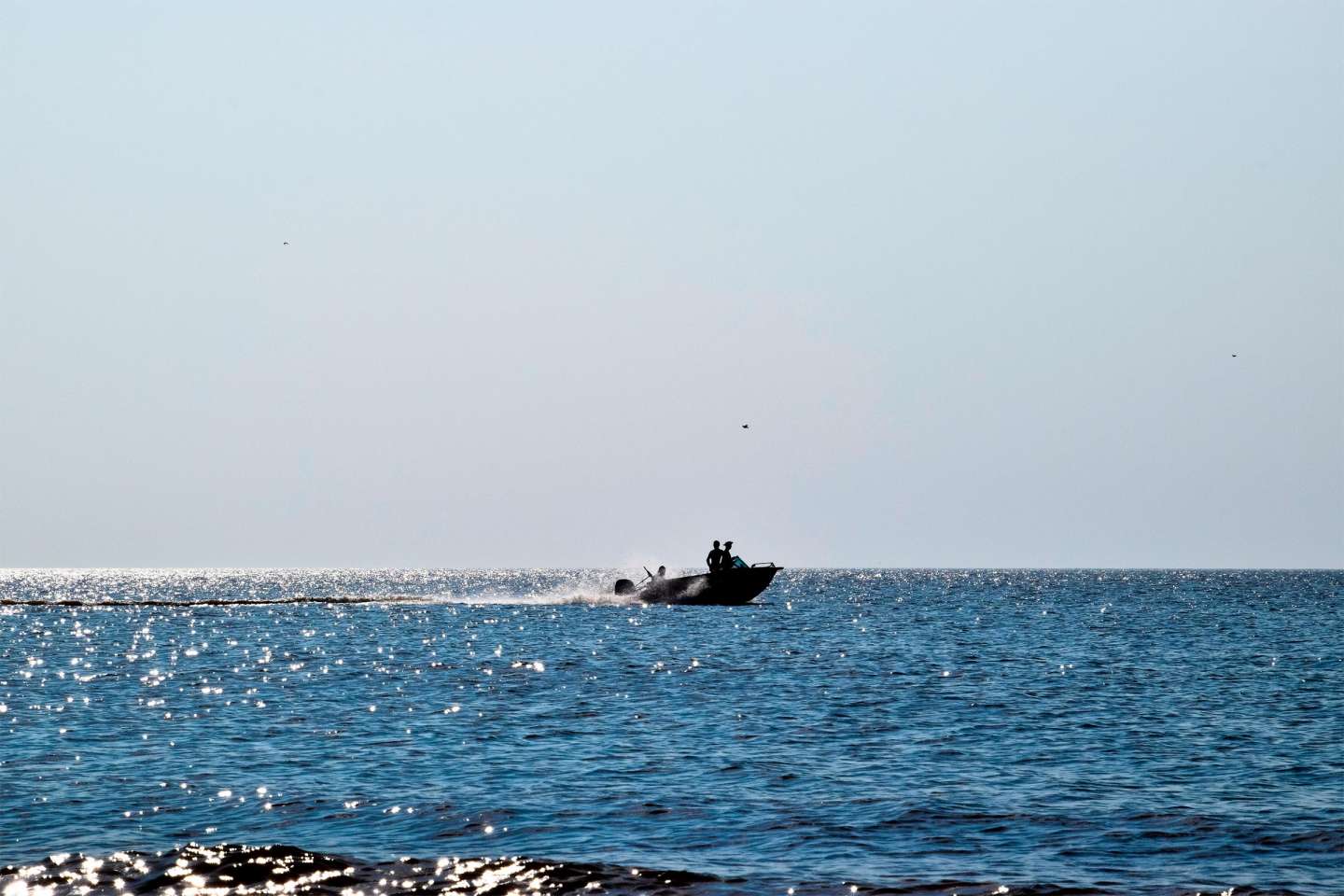 Humanitaire : annulation d’une subvention accordée à une association