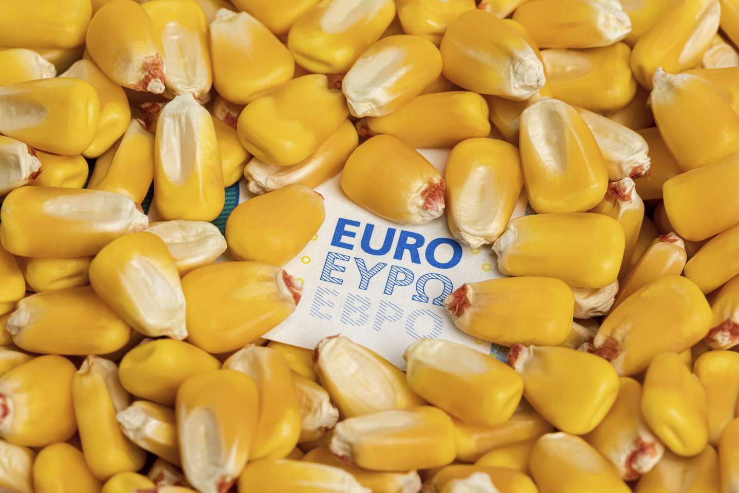 Exploitants agricoles : plus que quelques semaines pour déposer votre déclaration Pac