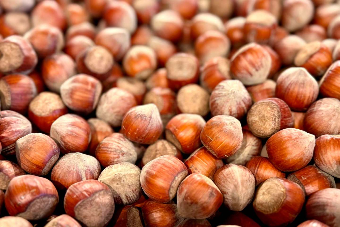 Production de noisettes : une aide pour compenser les pertes économiques