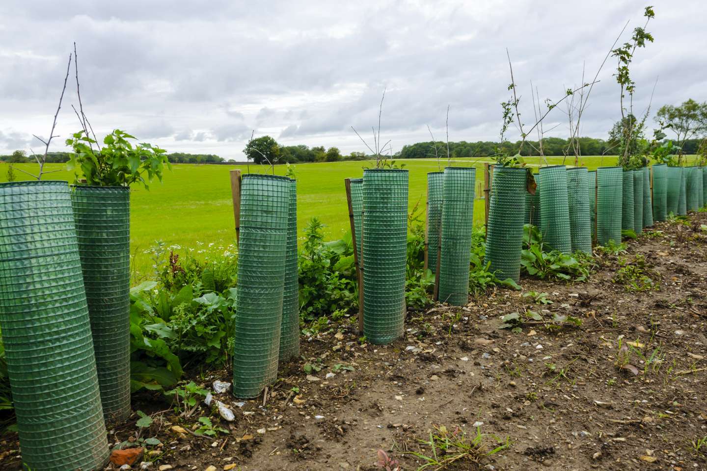 Exploitants agricoles : hausse du montant de plusieurs aides Pac au titre de 2025
