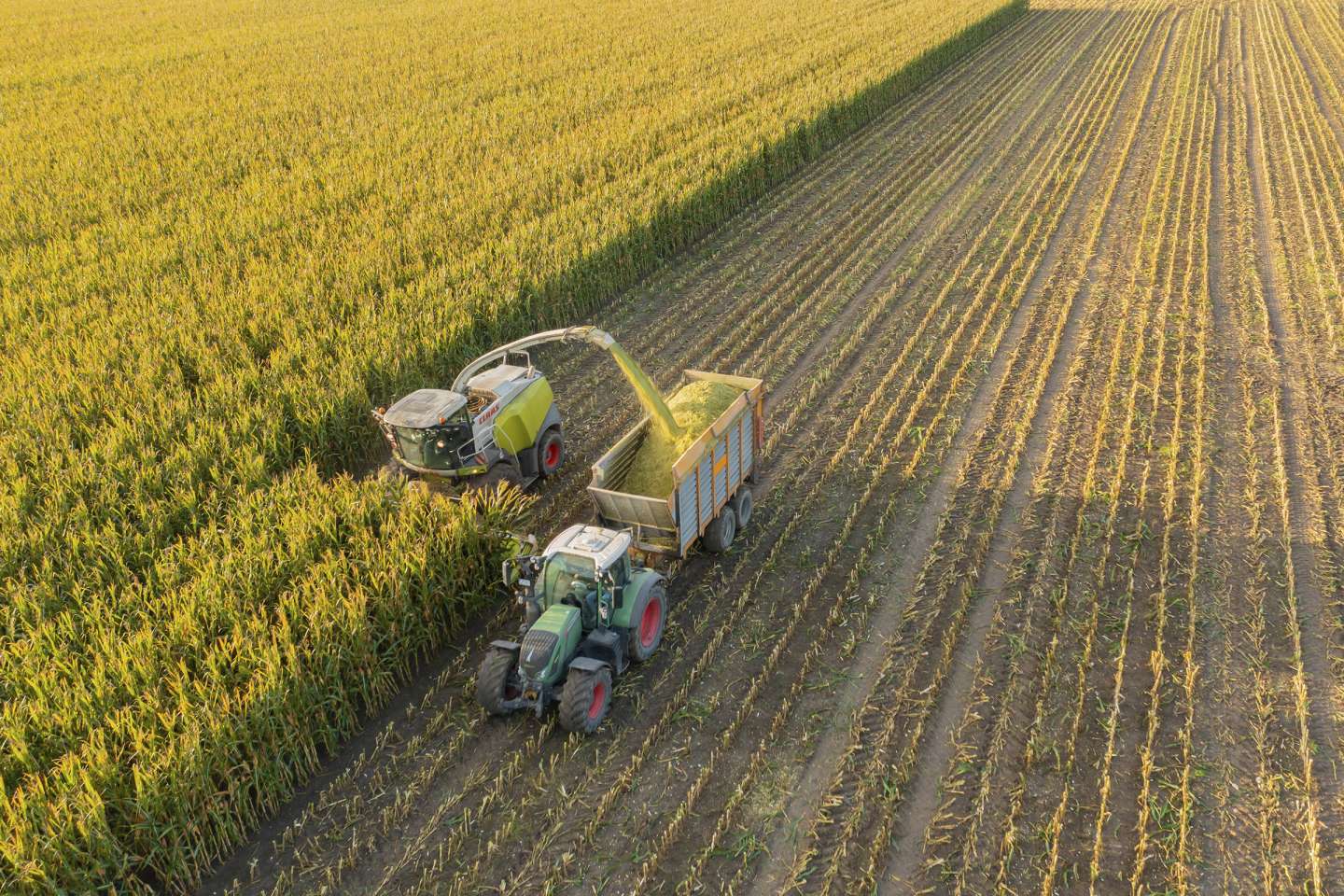 La production agricole en hausse de 4