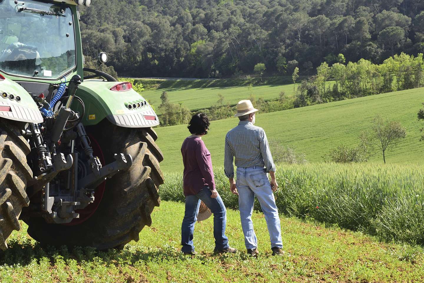 Exploitants agricoles : quel statut juridique pour votre conjoint ?